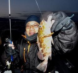 シーマジカル 釣果