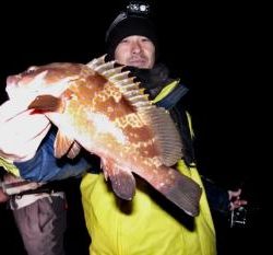 シーマジカル 釣果