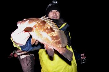 シーマジカル 釣果
