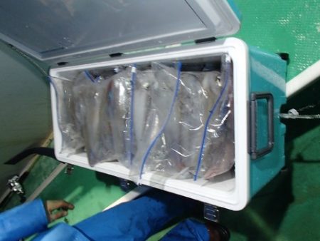 第二むつ漁丸 釣果