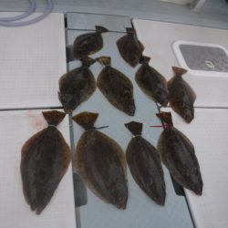 遊漁船 幸友丸 釣果