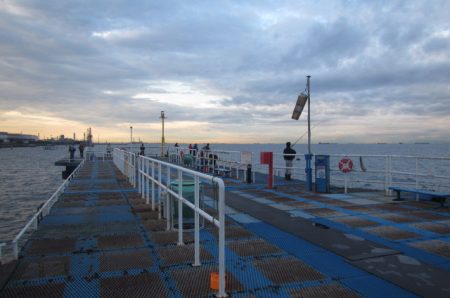 オリジナルメーカー海づり公園(市原市海づり施設) 釣果