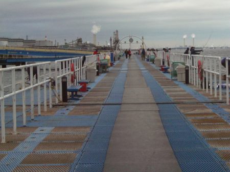 オリジナルメーカー海づり公園(市原市海づり施設) 釣果