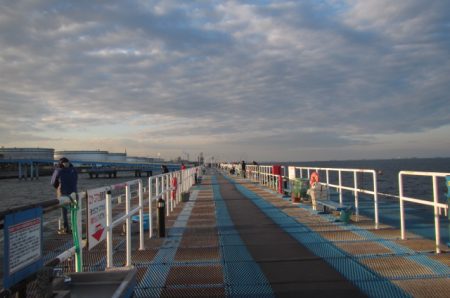 オリジナルメーカー海づり公園(市原市海づり施設) 釣果
