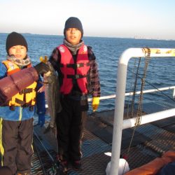 オリジナルメーカー海づり公園(市原市海づり施設) 釣果