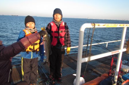 オリジナルメーカー海づり公園(市原市海づり施設) 釣果