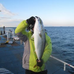 オリジナルメーカー海づり公園(市原市海づり施設) 釣果
