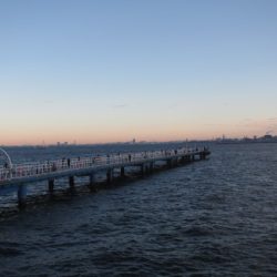 オリジナルメーカー海づり公園(市原市海づり施設) 釣果