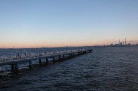 オリジナルメーカー海づり公園(市原市海づり施設) 釣果