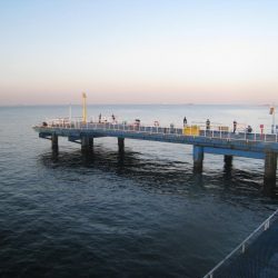 オリジナルメーカー海づり公園(市原市海づり施設) 釣果