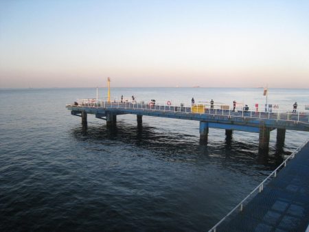 オリジナルメーカー海づり公園(市原市海づり施設) 釣果