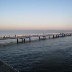 オリジナルメーカー海づり公園(市原市海づり施設) 釣果