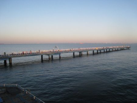 オリジナルメーカー海づり公園(市原市海づり施設) 釣果