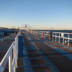 オリジナルメーカー海づり公園(市原市海づり施設) 釣果