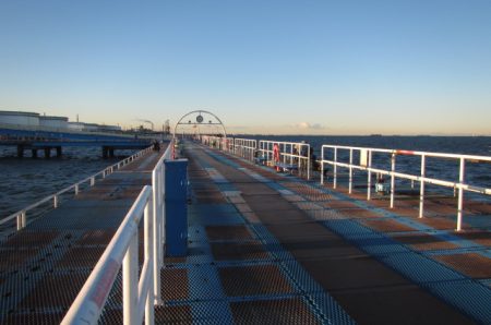 オリジナルメーカー海づり公園(市原市海づり施設) 釣果