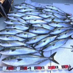 ふじしめ丸 釣果