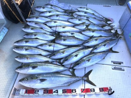 ふじしめ丸 釣果