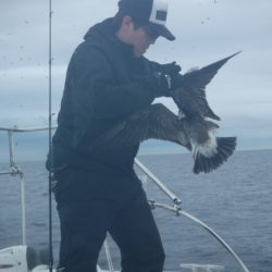 BlueNote Fishing Taxi 釣果