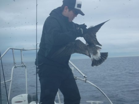 BlueNote Fishing Taxi 釣果