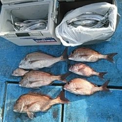 フィッシングガイド りょう 釣果