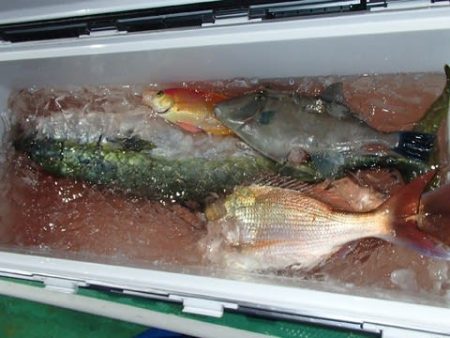 第二むつ漁丸 釣果