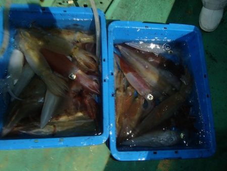 第二むつ漁丸 釣果