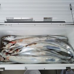 遊漁船　ニライカナイ 釣果