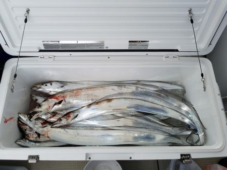 遊漁船　ニライカナイ 釣果