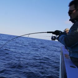松鶴丸 釣果