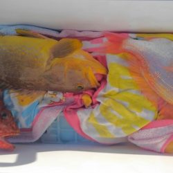 遊漁船 新鋭丸 釣果