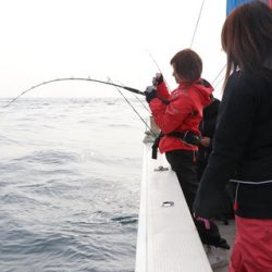 スカイマリン 釣果