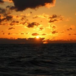 へいみつ丸 釣果