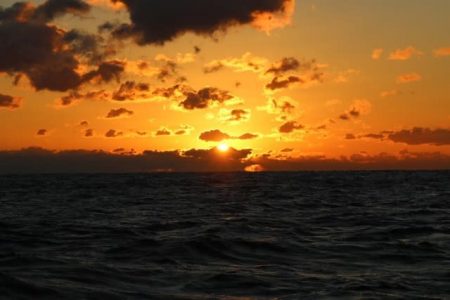 へいみつ丸 釣果