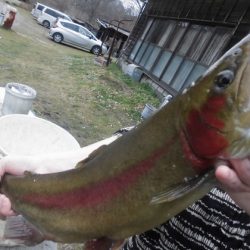 高萩ふれあいの里フィッシングエリア 釣果