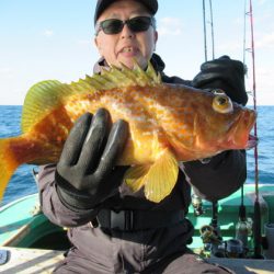 真祐丸 （しんゆうまる） 釣果