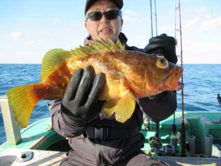 真祐丸 （しんゆうまる） 釣果