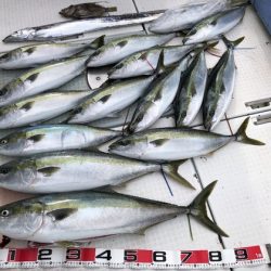 ふじしめ丸 釣果