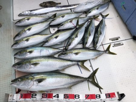 ふじしめ丸 釣果