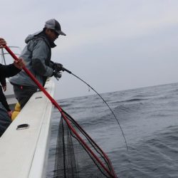 スカイマリン 釣果