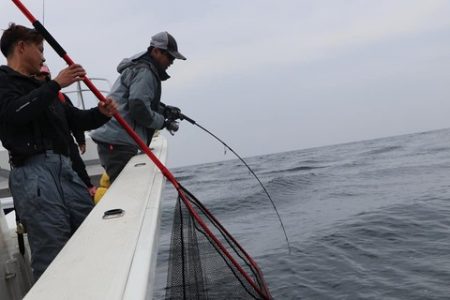スカイマリン 釣果