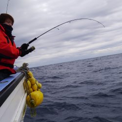 松鶴丸 釣果
