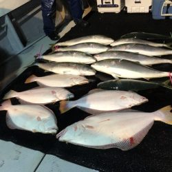 幸風（さちかぜ） 釣果