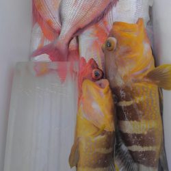 遊漁船 新鋭丸 釣果