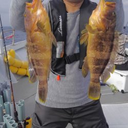 遊漁船 新鋭丸 釣果