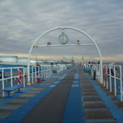 オリジナルメーカー海づり公園(市原市海づり施設) 釣果