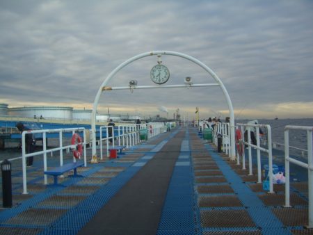 オリジナルメーカー海づり公園(市原市海づり施設) 釣果