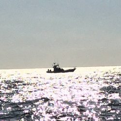 へいみつ丸 釣果