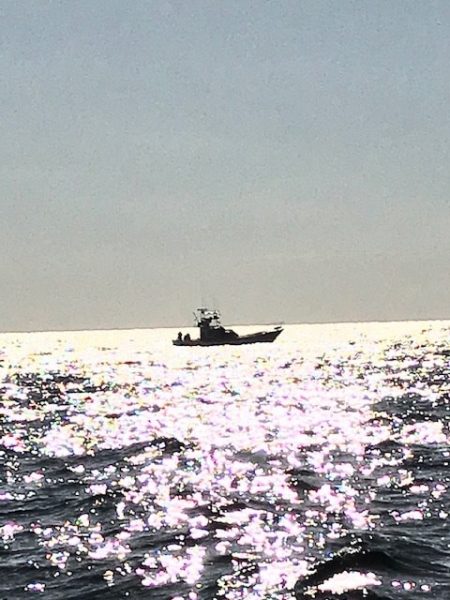 へいみつ丸 釣果