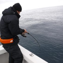 BlueNote Fishing Taxi 釣果