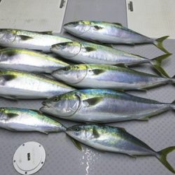 ミタチ丸 釣果